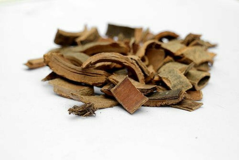 秦皮，常年批发供应秦皮中药材