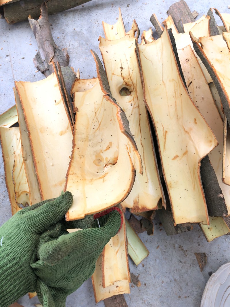 深山老桂皮香料特调味料级卤料干货，大量有现货