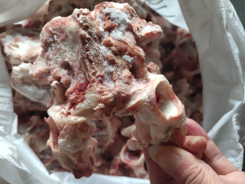 【羔羊眼骨】当地草原羊的眼骨！新鲜味道好易烂！熬汤炖煮都