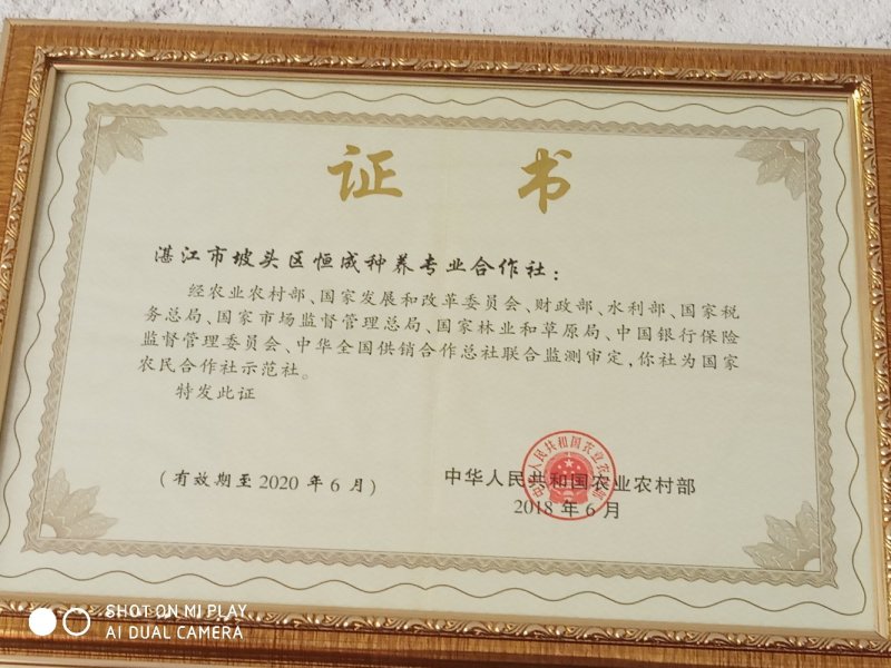 软红米