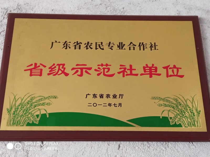 软红米