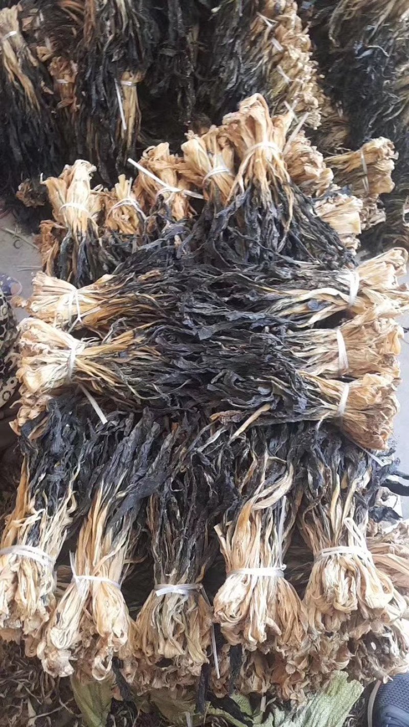 脱水白菜干干条根白万年青