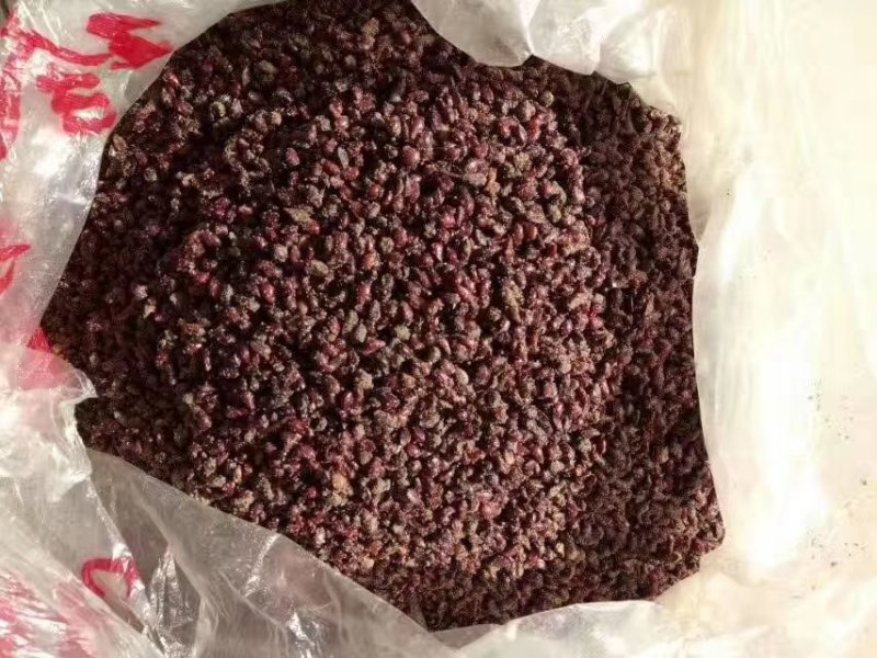 八棱海棠苗，自家八棱海棠苗圃，精品八棱海棠苗，实价格便宜