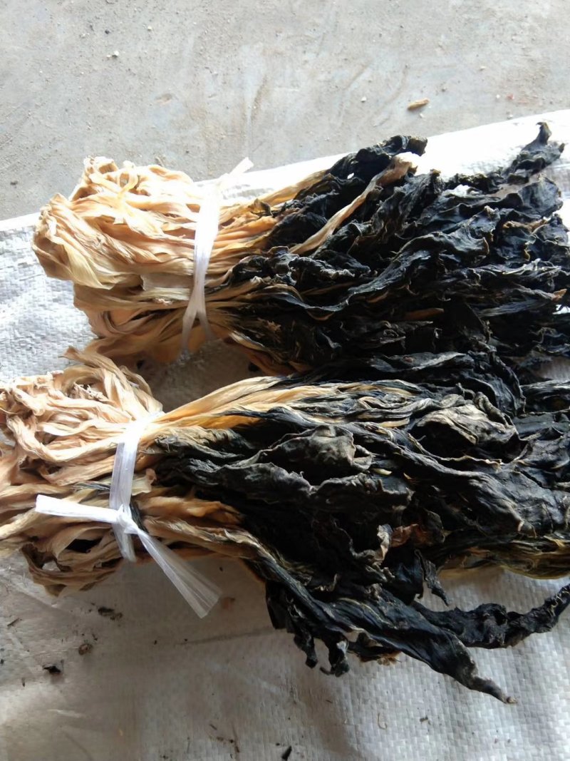脱水白菜干干条根白万年青