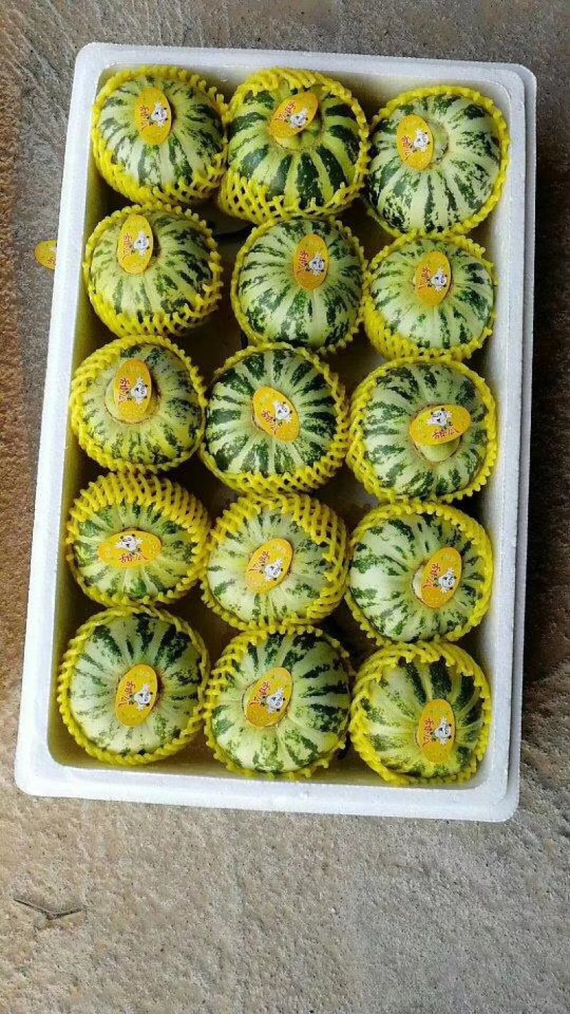 花美人，花蕾甜瓜，实力代收产地直销代发全国