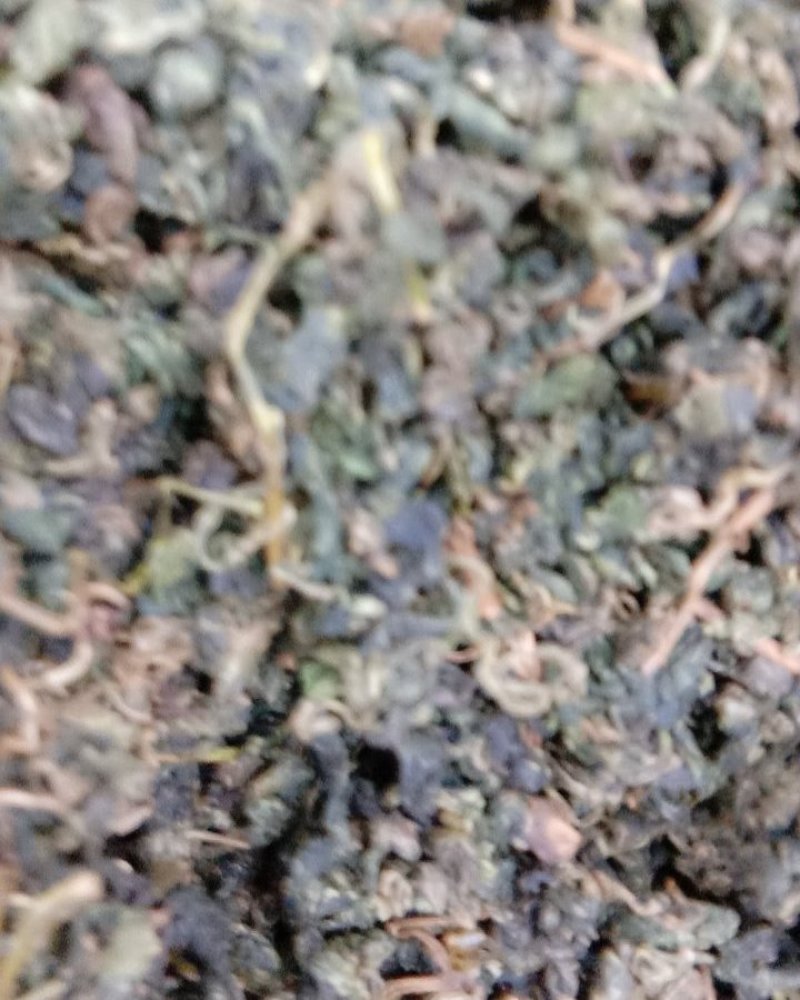 绞股蓝，常年批发供应各种规格药食同源，中药材绞股蓝无硫货