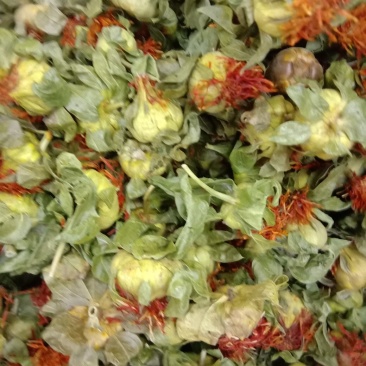 红花头，常年批发供应，红花果药食两用红花头