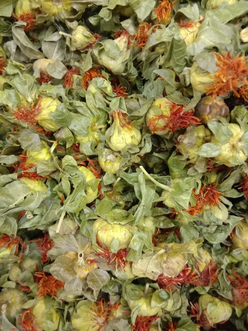 红花头，常年批发供应，红花果药食两用红花头