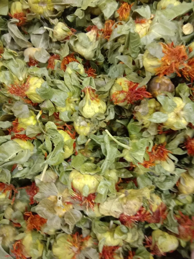 红花头，常年批发供应，红花果药食两用红花头