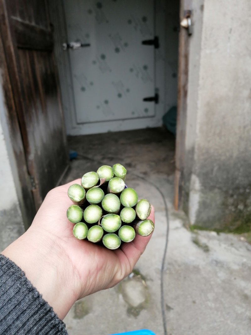芦笋新鲜芦笋长兴芦笋精品芦笋大芦笋绿芦笋