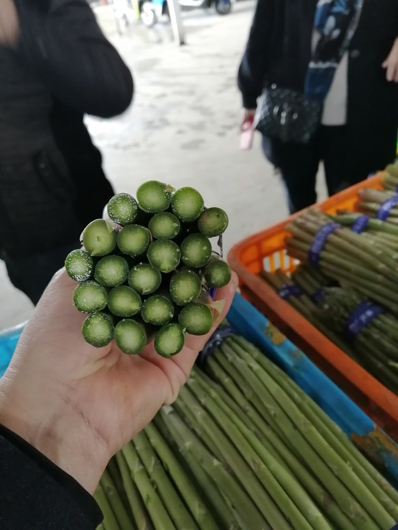 芦笋新鲜芦笋长兴芦笋精品芦笋大芦笋绿芦笋