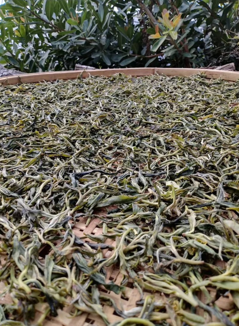 云南临沧纯生态普洱茶