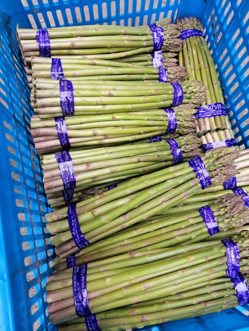 芦笋新鲜芦笋长兴芦笋精品芦笋大芦笋绿芦笋