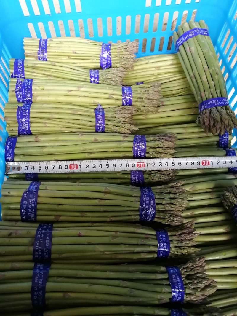 芦笋新鲜芦笋长兴芦笋精品芦笋大芦笋绿芦笋