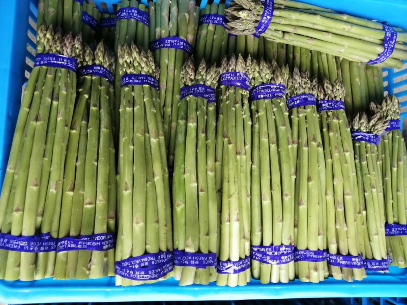 芦笋新鲜芦笋长兴芦笋精品芦笋大芦笋绿芦笋
