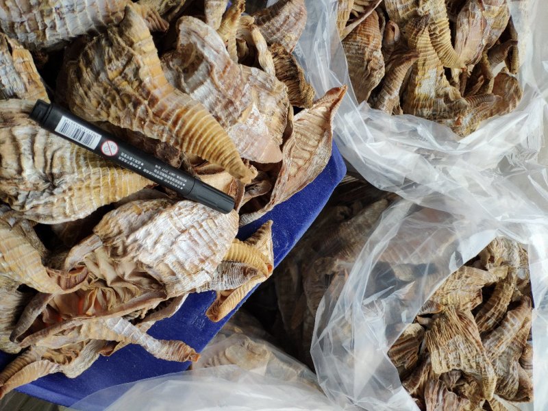 黄山笋尖，无添加，三寸内烘干