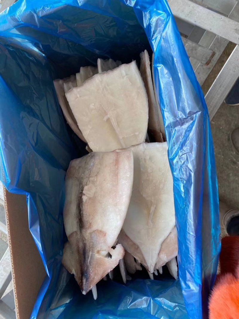 鱿鱼片，单冻鱿鱼片，净重8斤，图片实拍，有需要联系