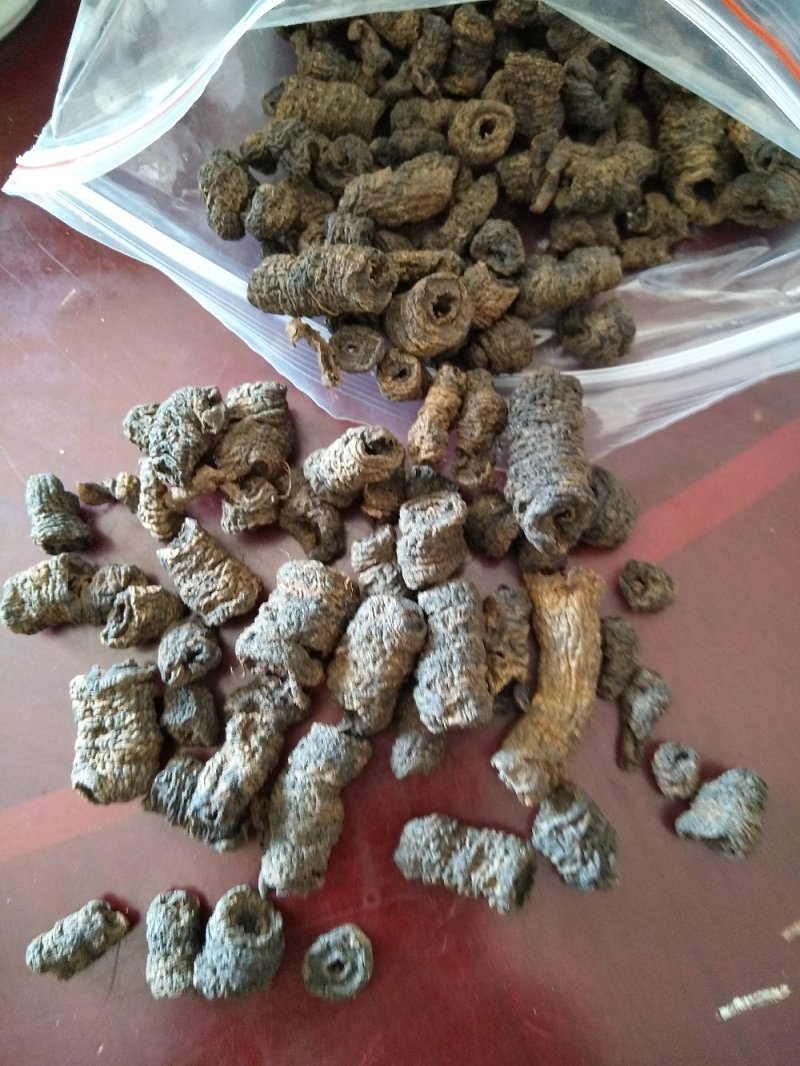 德庆特产巴戟天，诚信第一，质量保证