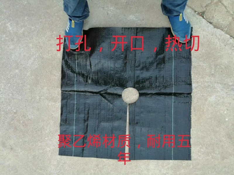 防草布除草布打孔热切地布切片防草布打孔切片厂家直销