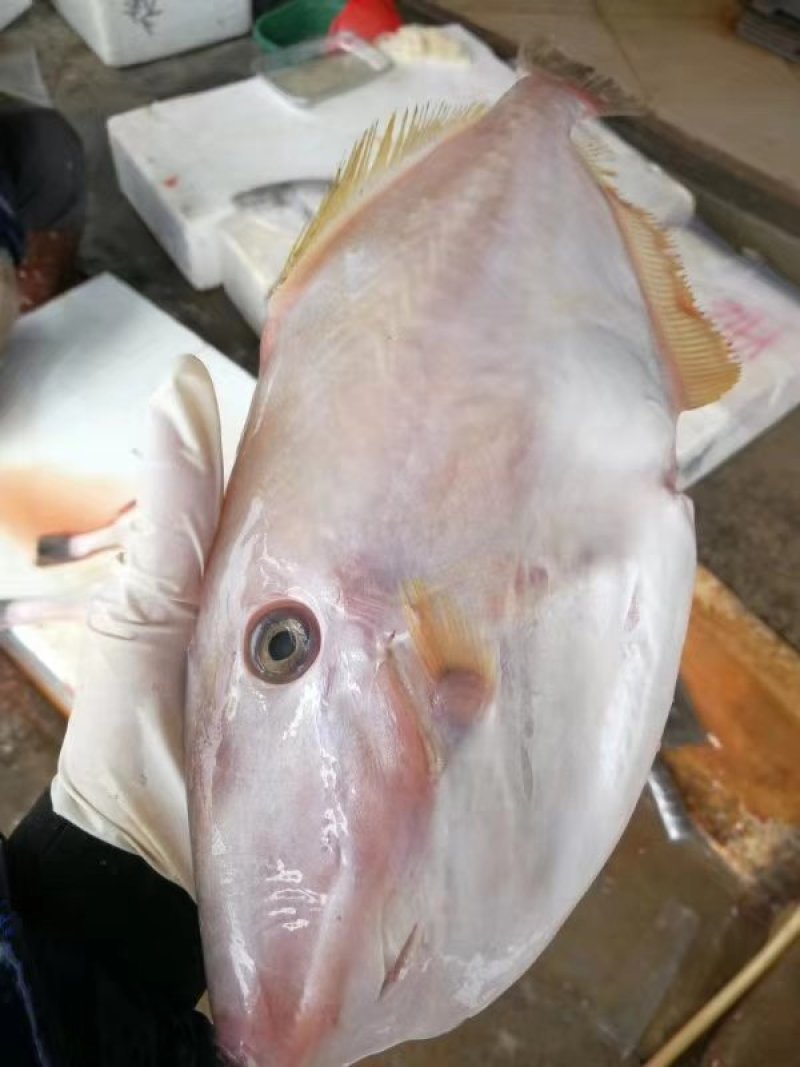 本港小剥皮大剥皮黄花鱼