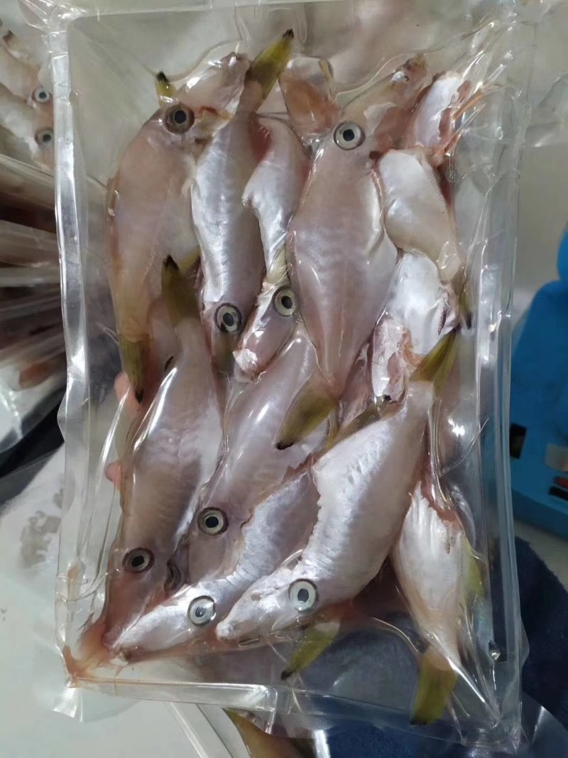 本港小剥皮大剥皮黄花鱼