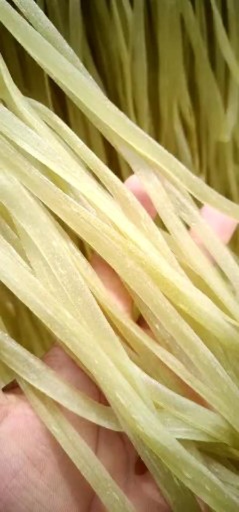 酸辣粉细粉红薯粉火锅宽粉鸭血粉丝规格齐全量大从优