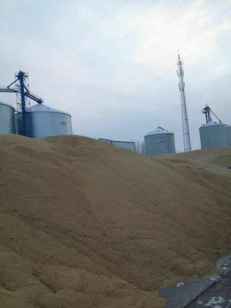 新米稻花香，黑龙江产地直发，日加工能力60吨，保证常年供