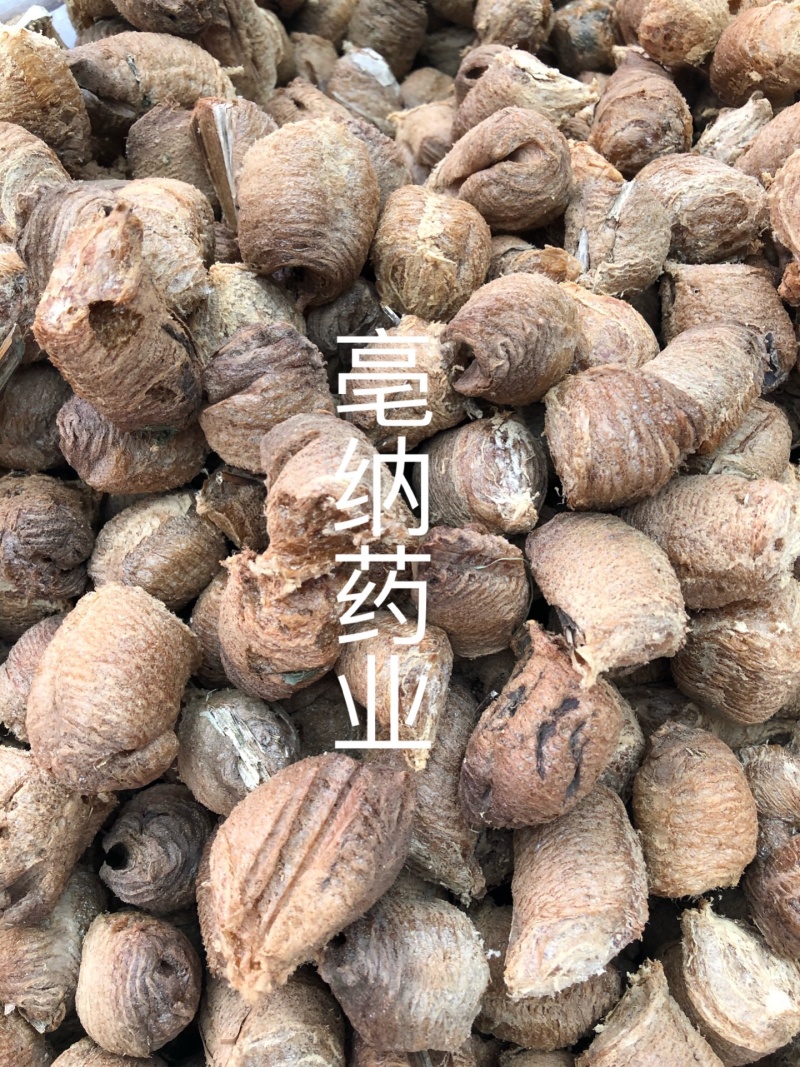 桑螵蛸刀螂籽螳螂籽大棉蛸中药材桑蛸1⃣️公斤起批