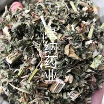 益母草中药材优质散装益母草大货批发好货无杂质