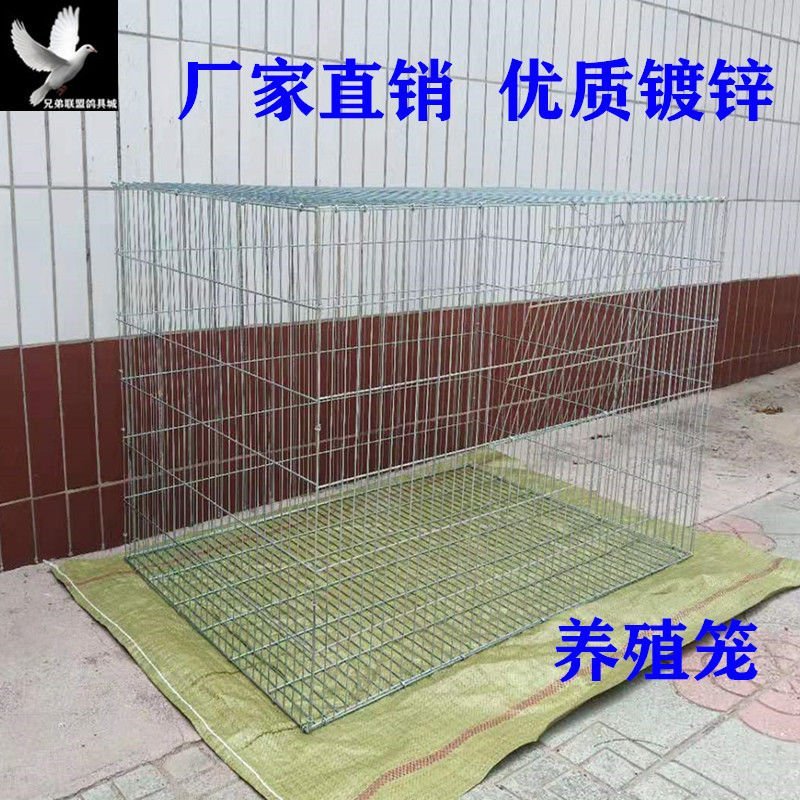 加密加粗鸽子养殖笼兔笼鸡笼家用鹌鹑笼镀锌铁丝笼运输笼大号