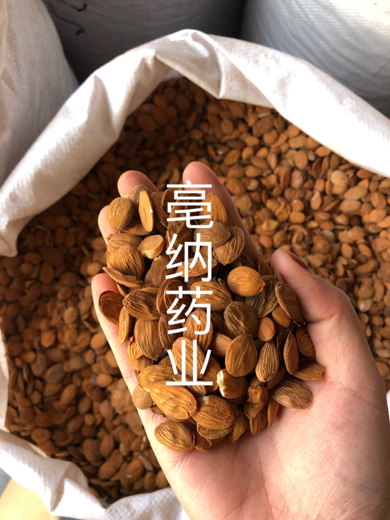 桃仁中药材内蒙苦桃仁1⃣️公斤起批大货批发