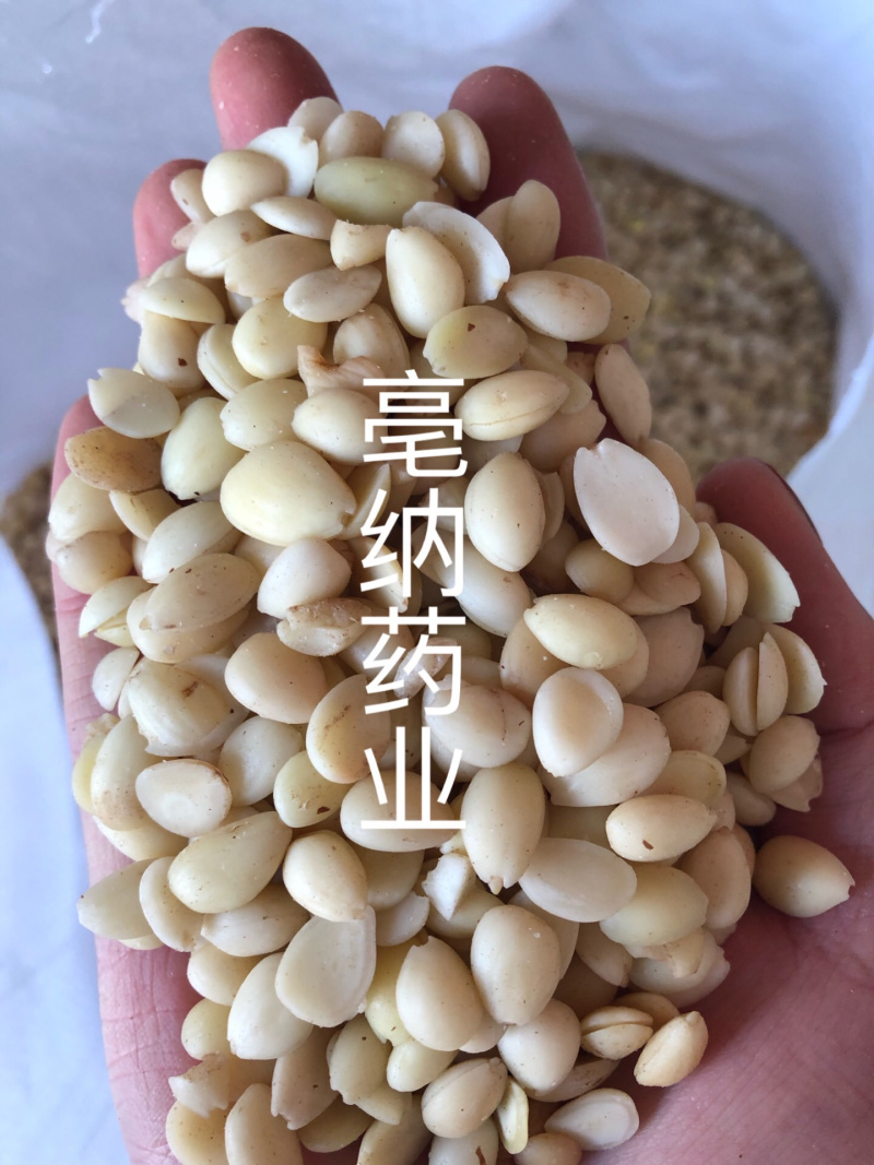 杏仁中药材苦杏仁1⃣️公斤起批大货批发
