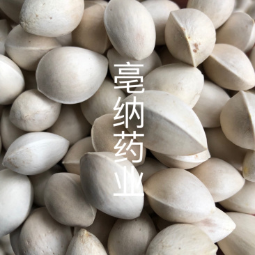 白果中药材优质白果1⃣️公斤起批壳白银杏果