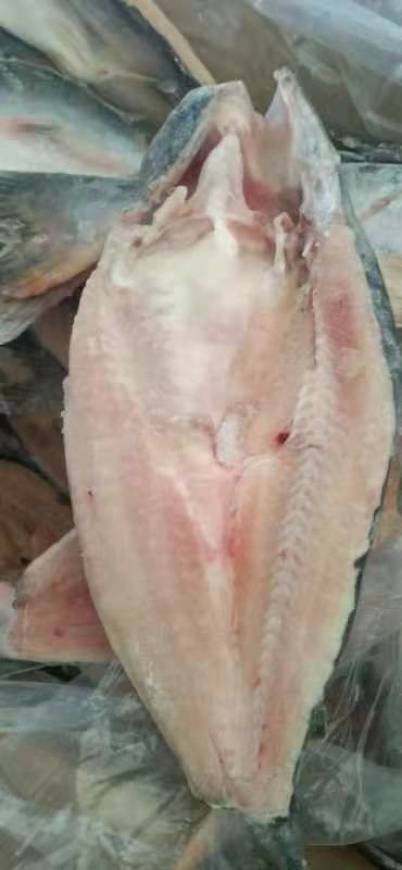 开背巴沙鱼腌制的一件代发