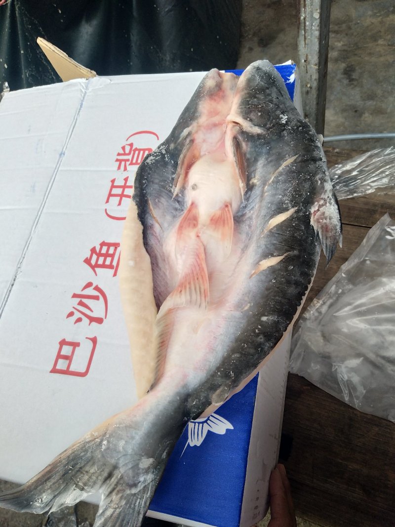 开背巴沙鱼腌制的一件代发