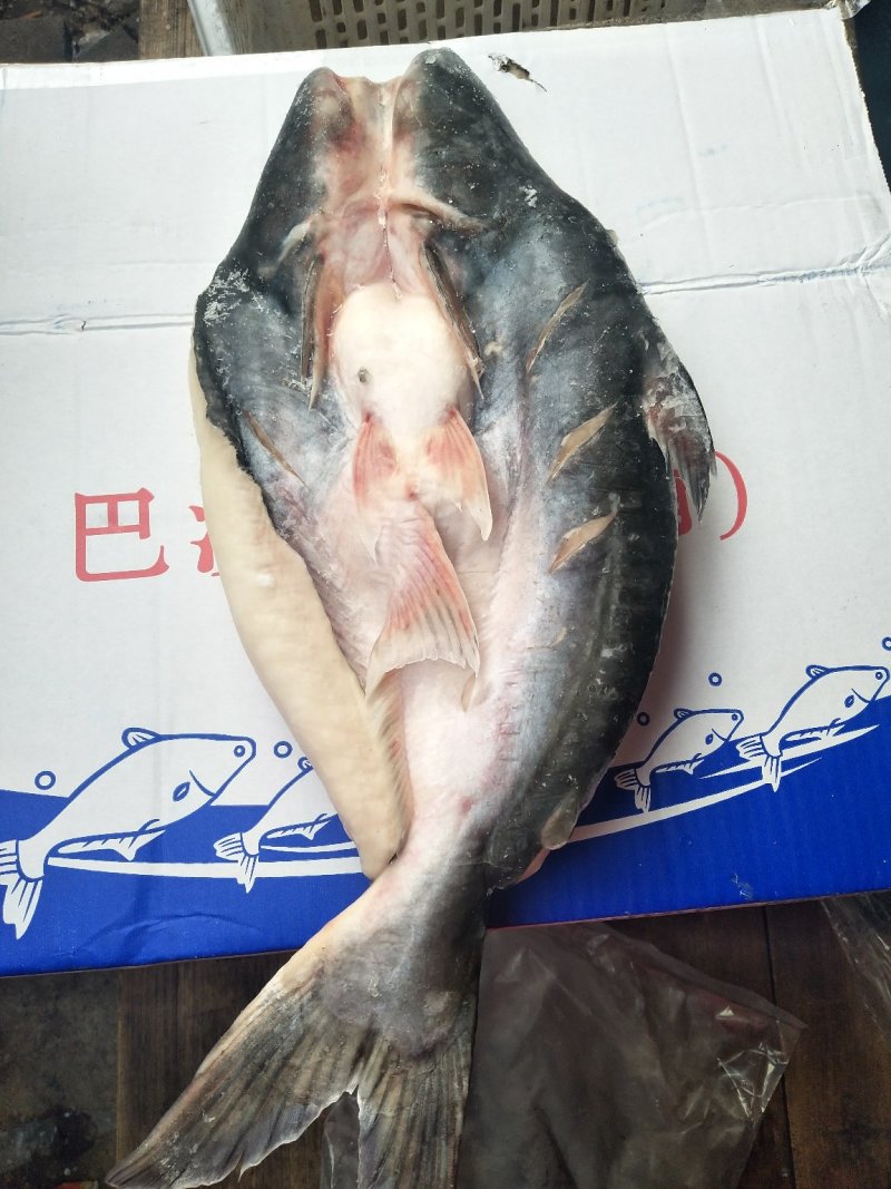 开背巴沙鱼腌制的一件代发