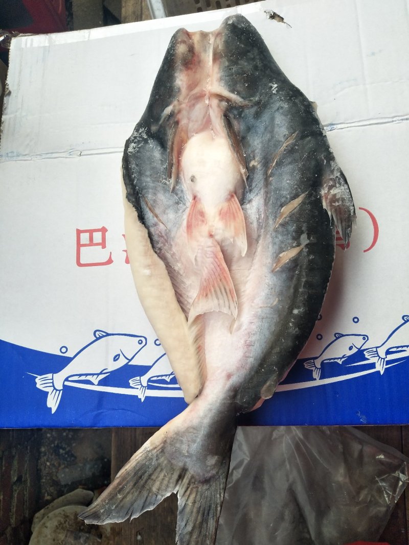 开背巴沙鱼腌制的一件代发