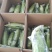 新鲜水果玉米