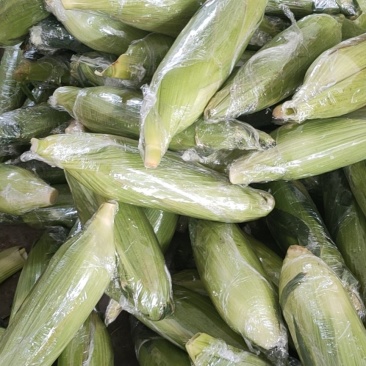 新鲜水果玉米