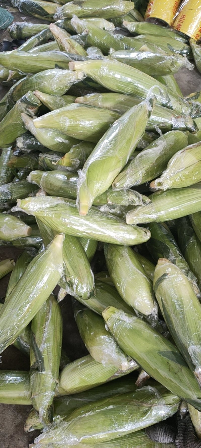 新鲜水果玉米