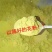 安徽砀山梨花花粉各种品种的梨授粉使用全国发货保证质量