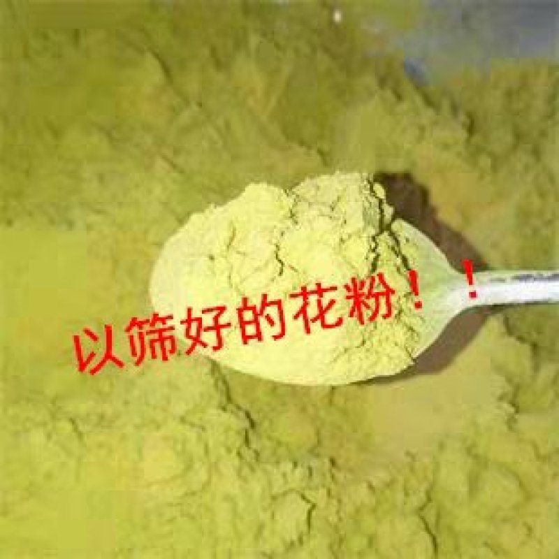 安徽砀山梨花花粉各种品种的梨授粉使用全国发货保证质量