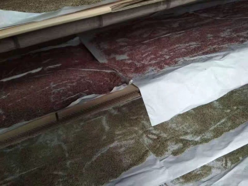 安徽砀山梨花花粉各种品种的梨授粉使用全国发货保证质量