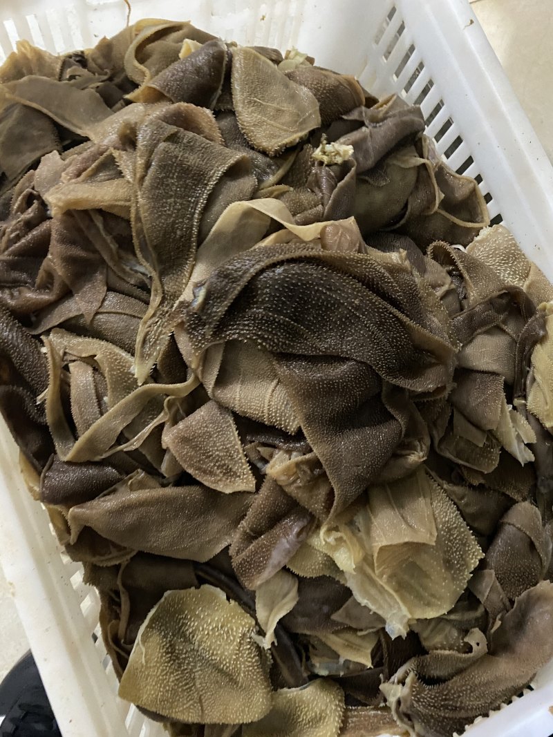 火锅食材毛肚小叶片本色叶片小叶片干净免处理