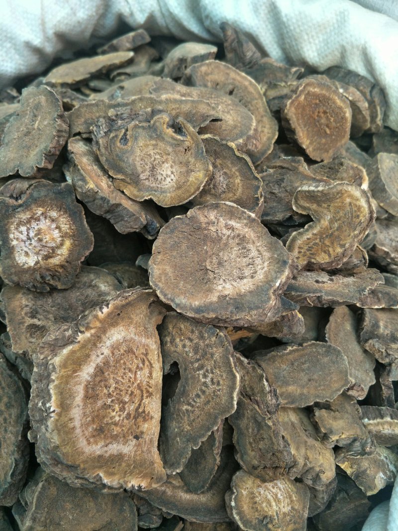大黄，常年批发供应中药材马蹄大黄