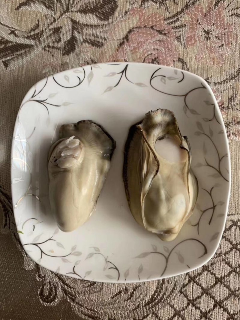 生蚝