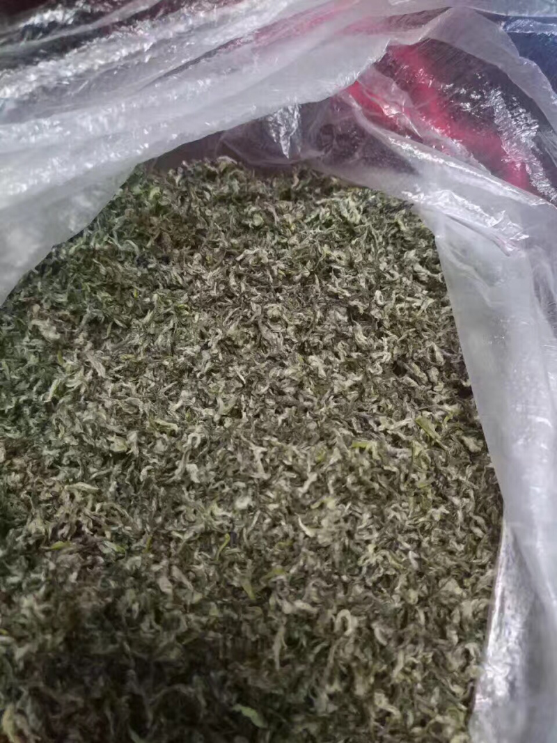 苏州洞庭碧螺春