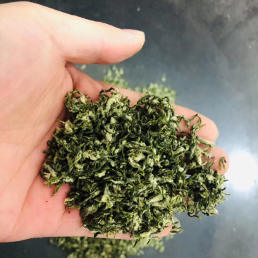 苏州洞庭碧螺春