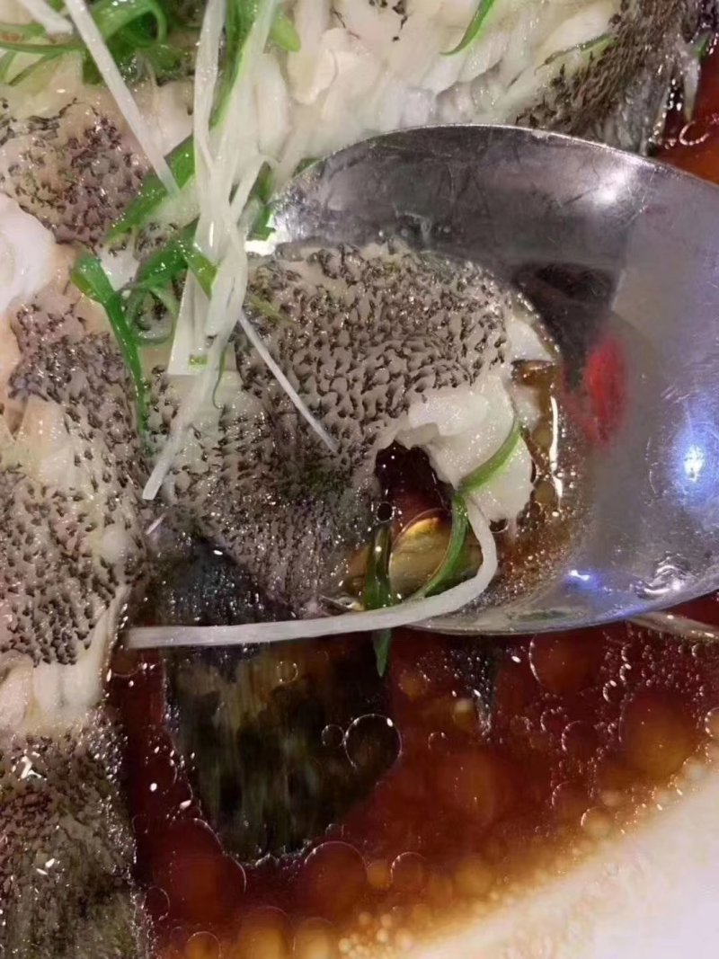 本港龙胆珍珠石斑鱼