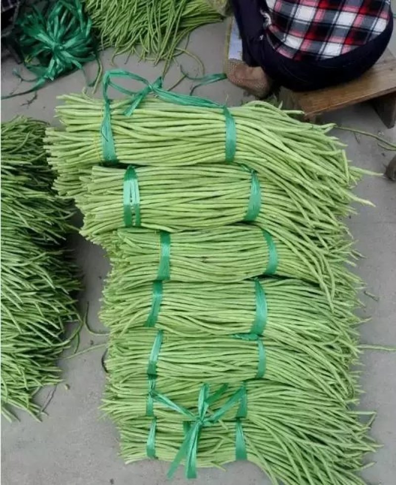 长豆角，现摘现发，一手货源，可实地考察看货，提供泡水打冷